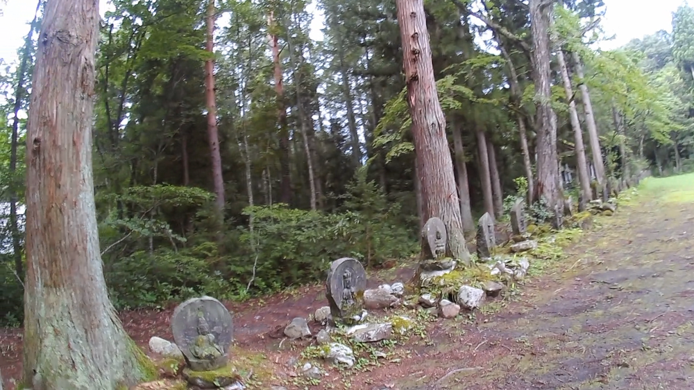 長野県北アルプス白馬村、白馬八方から白馬岩岳スキーのメッカを１１キロランニングの写真4