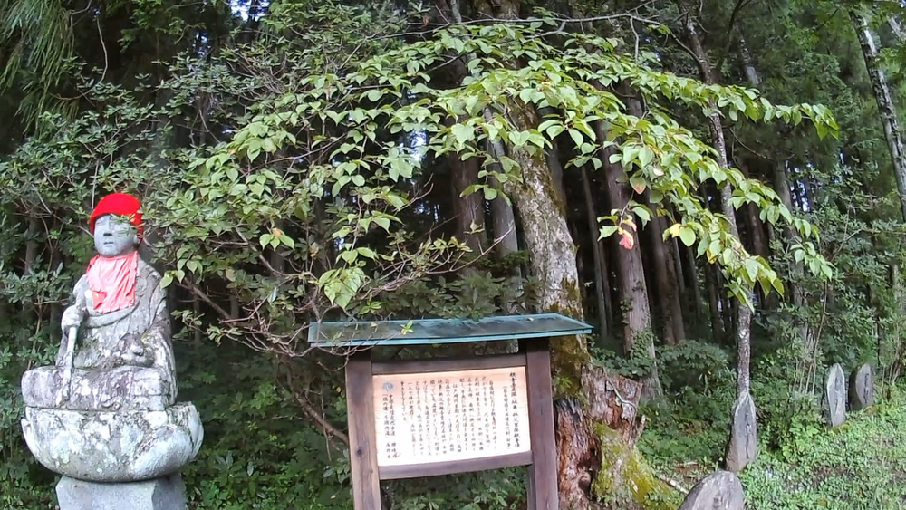 長野県北アルプス白馬村、白馬八方から白馬岩岳スキーのメッカを１１キロランニングの写真5