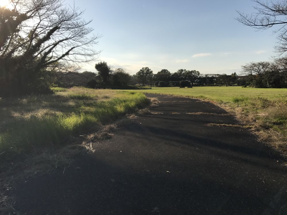 サクラソウの自生地 田島ヶ原 ランコースの写真5
