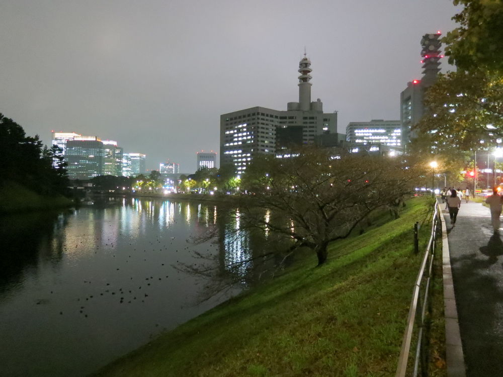 皇居一周の写真3