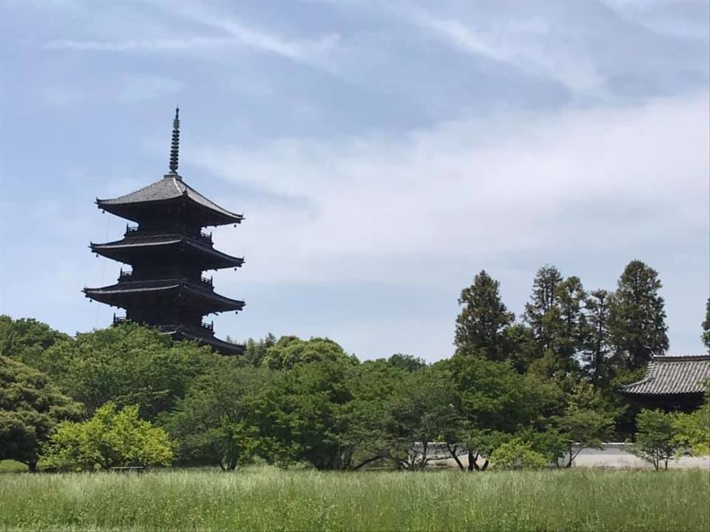 田園の中を走りながら備中国分寺まで（片道15km）の写真3