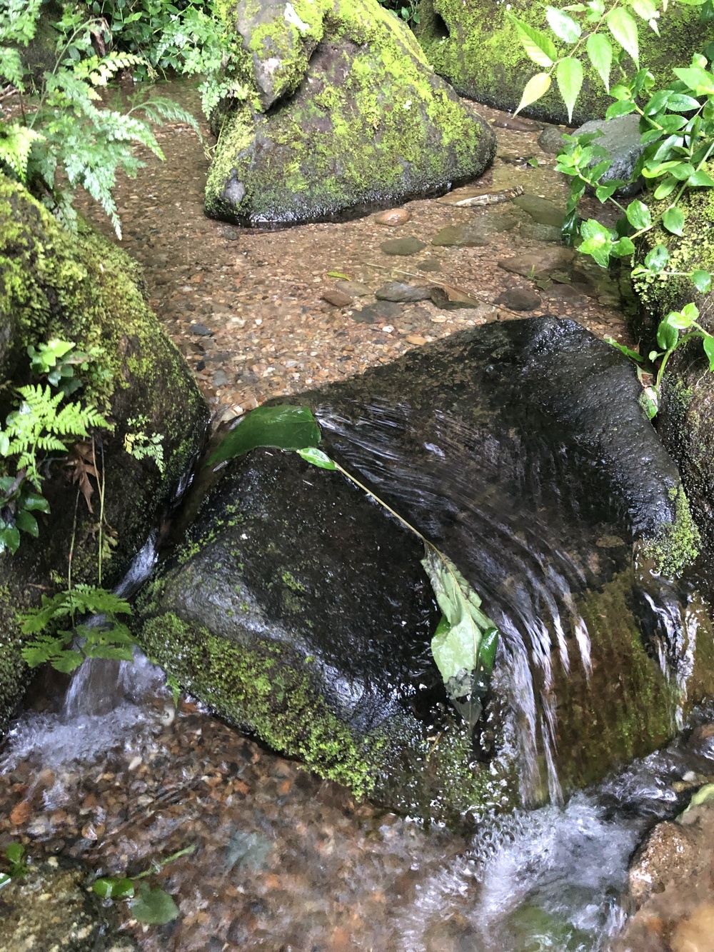 相模原上溝トレイルランの写真3