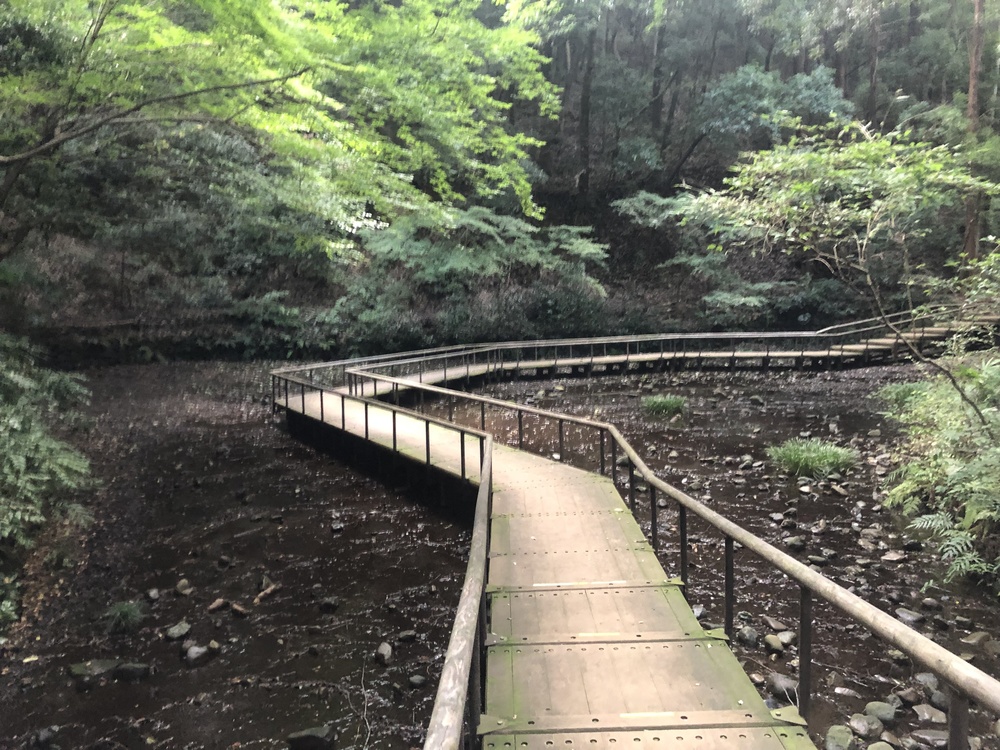 相模原上溝トレイルランの写真4