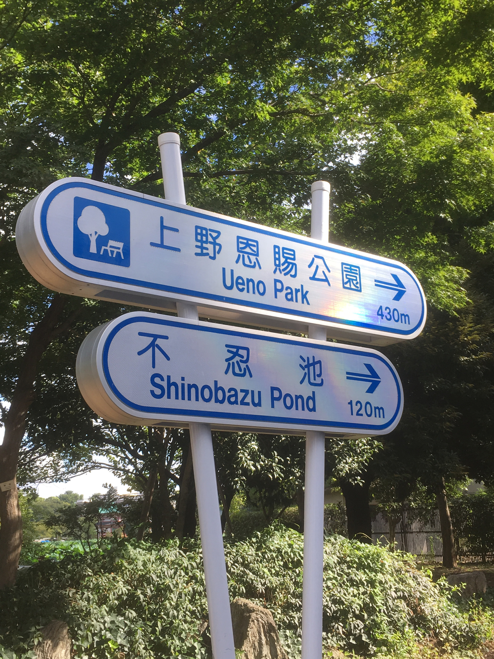 東京芸術大学を目指すRUNの写真4