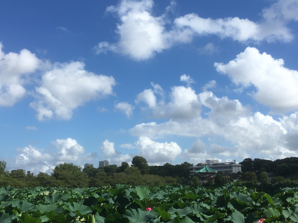 東京芸術大学を目指すRUNの写真5