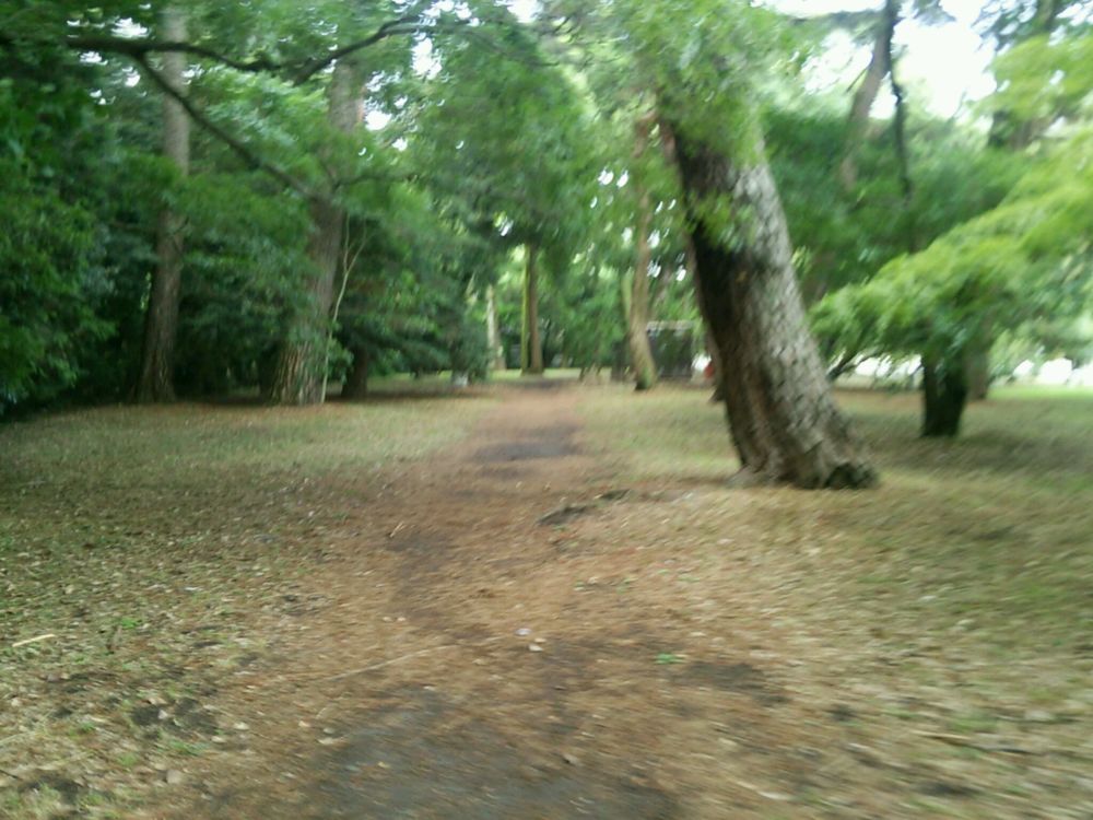 厳かなコースでリフレッシュ！！の写真3