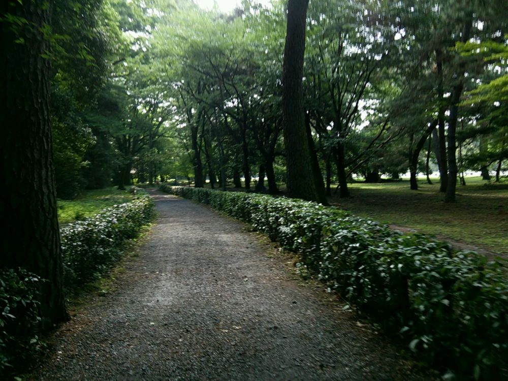 厳かなコースでリフレッシュ！！の写真4