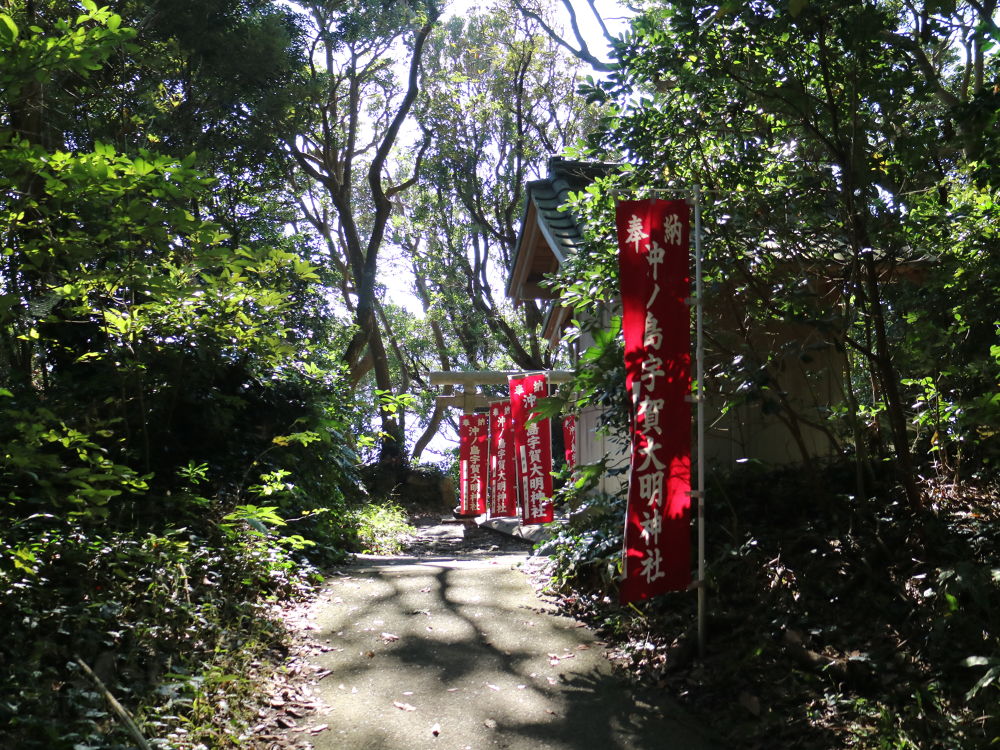 千葉・館山にタヒチのような透明ビーチコース（無人島散策）の写真3