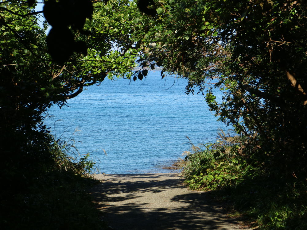 千葉・館山にタヒチのような透明ビーチコース（無人島散策）の写真5