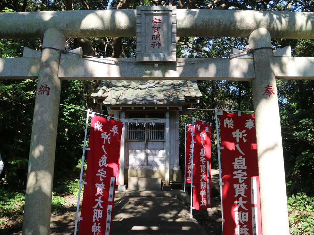 千葉・館山にタヒチのような透明ビーチコース（無人島散策）の写真7