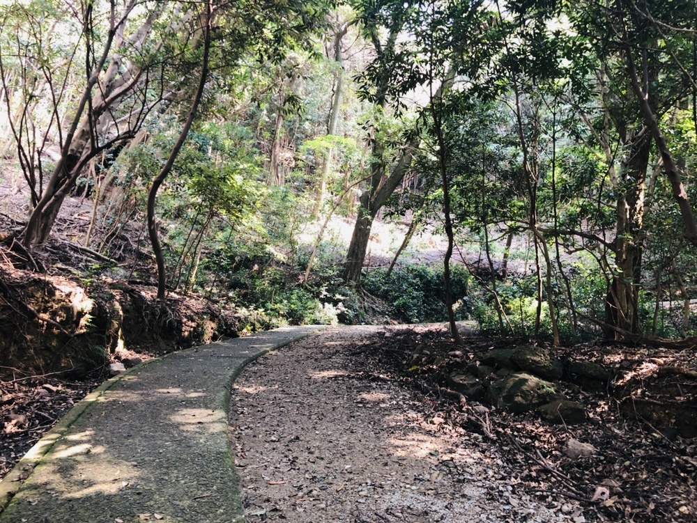 淡路島で海の絶景と山の緑と歴史を巡るRuntripの写真3