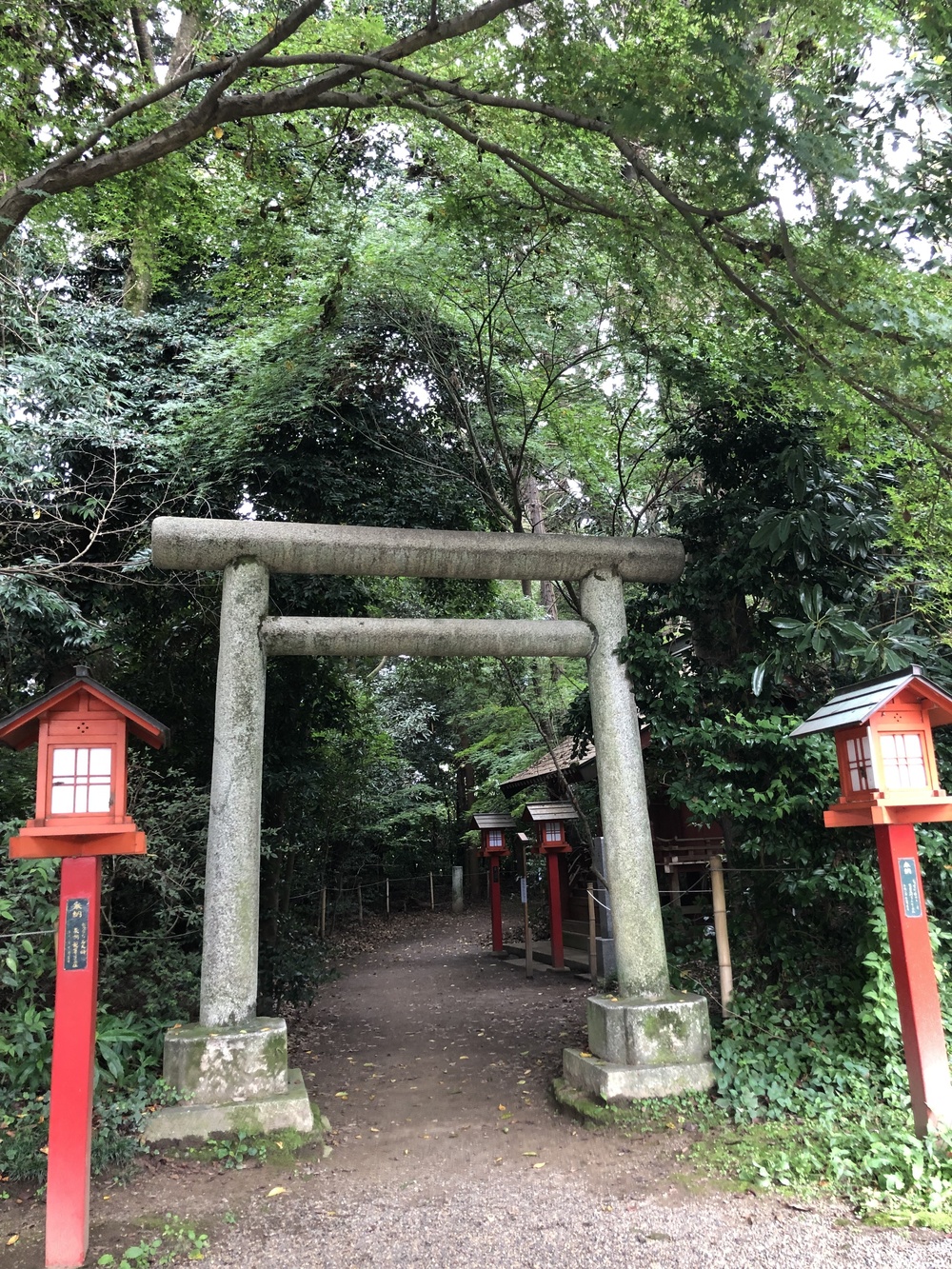 鷲宮神社でお参りランの写真3