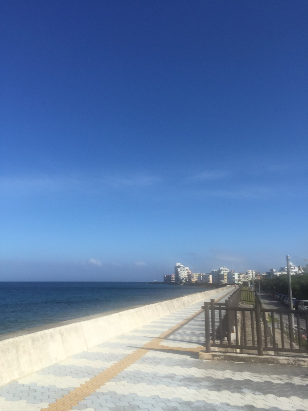 早く起きた朝は…涼しい？の写真3