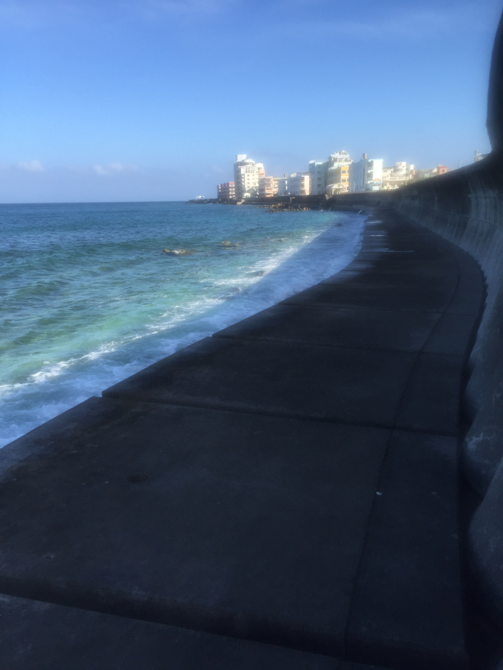 早く起きた朝は…涼しい？の写真4