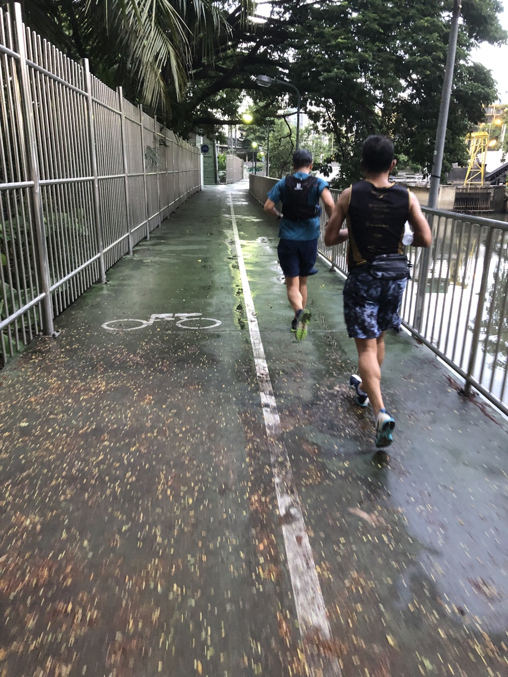 バンコクの２公園をつなぐランの写真10