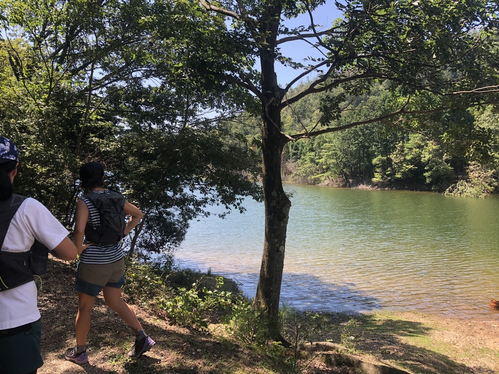 京都トレイル北山→西山コースの写真4