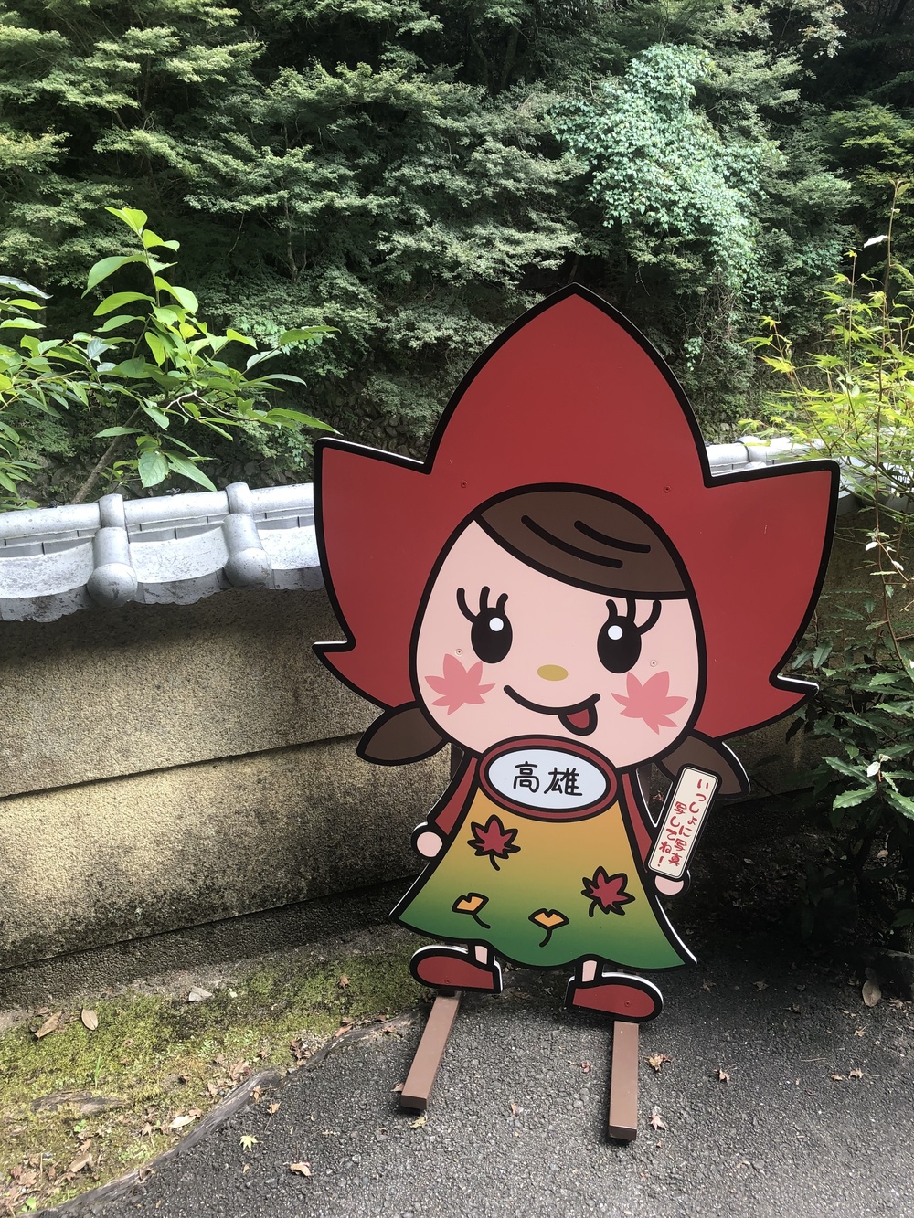 京都トレイル北山→西山コースの写真6