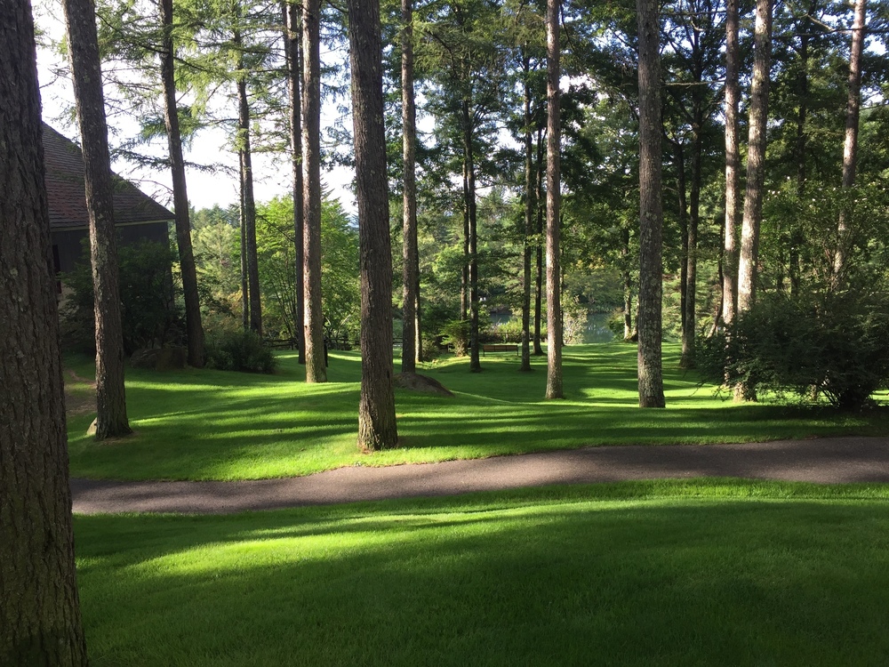 八ヶ岳 蓼科 （東急リゾート・タウン蓼科内）の写真10