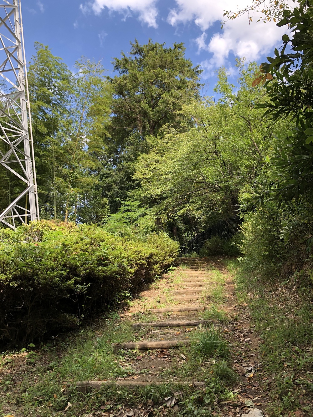 自然とアートが楽しめる！町田さとやまRuntrip ~まるごと多摩コレクション~の写真5