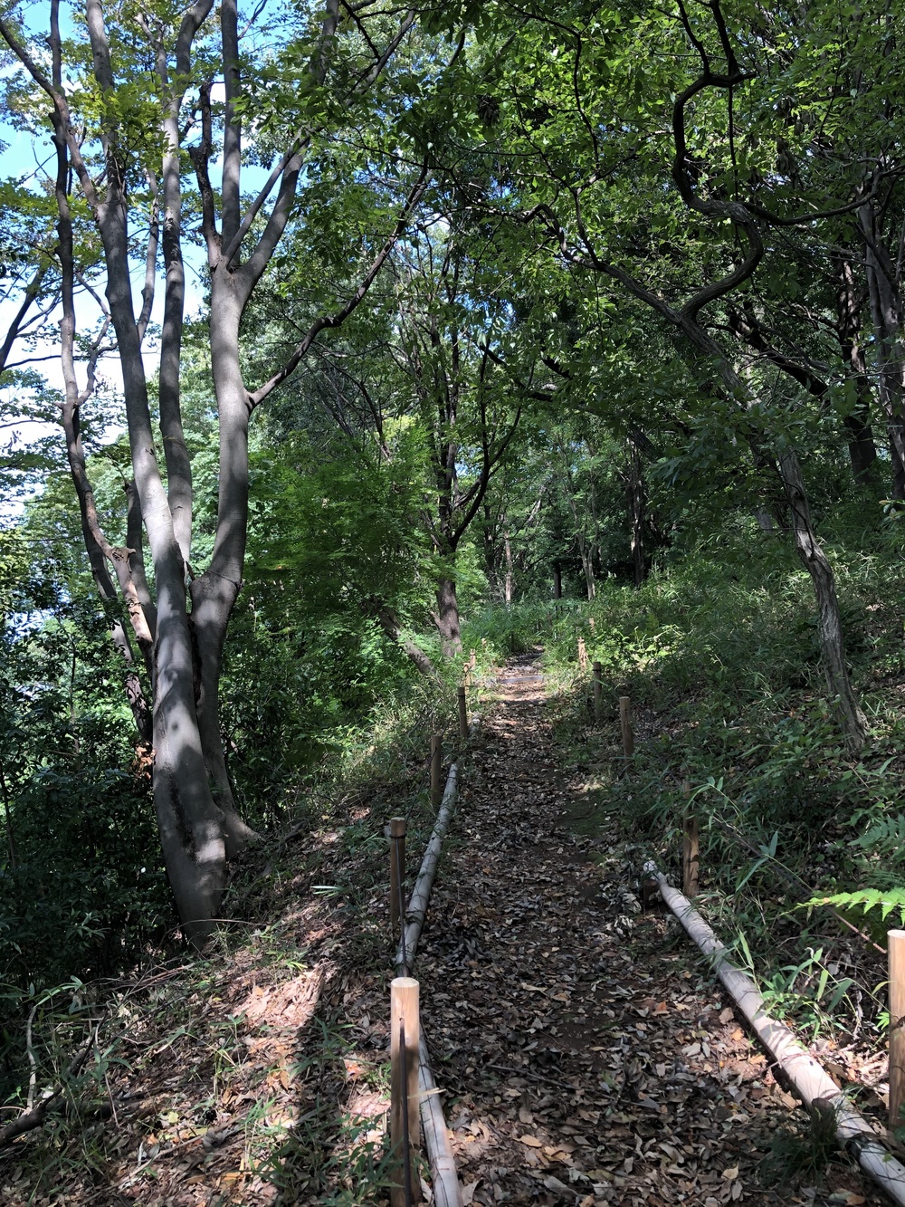 自然とアートが楽しめる！町田さとやまRuntrip ~まるごと多摩コレクション~の写真6