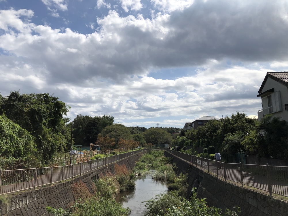 自然とアートが楽しめる！町田さとやまRuntrip ~まるごと多摩コレクション~の写真8