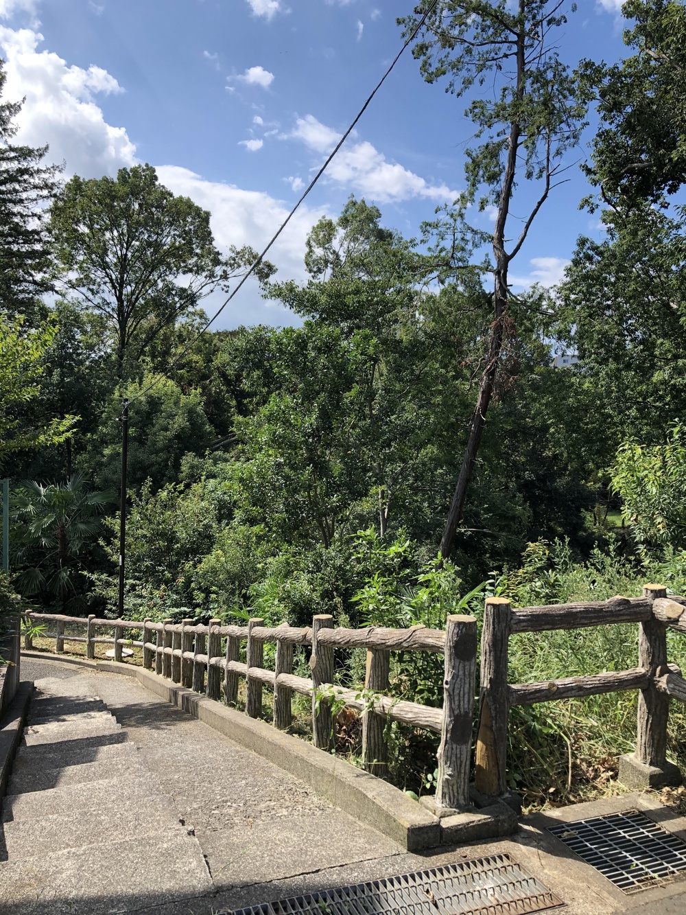 自然とアートが楽しめる！町田さとやまRuntrip ~まるごと多摩コレクション~の写真9