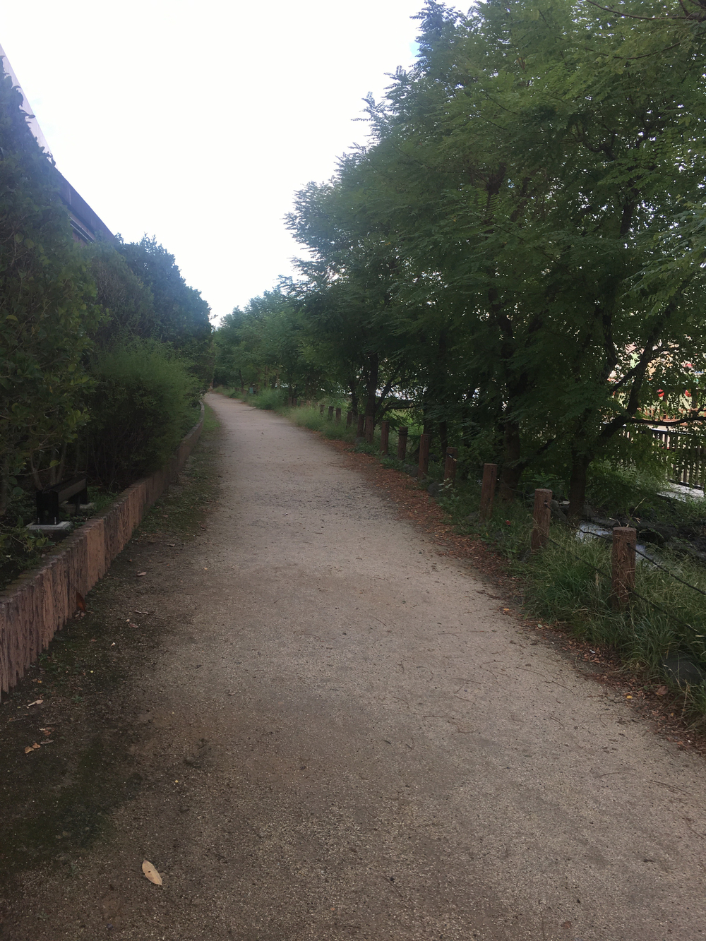 下町観光名所ラン！墨田区〜台東区の写真5