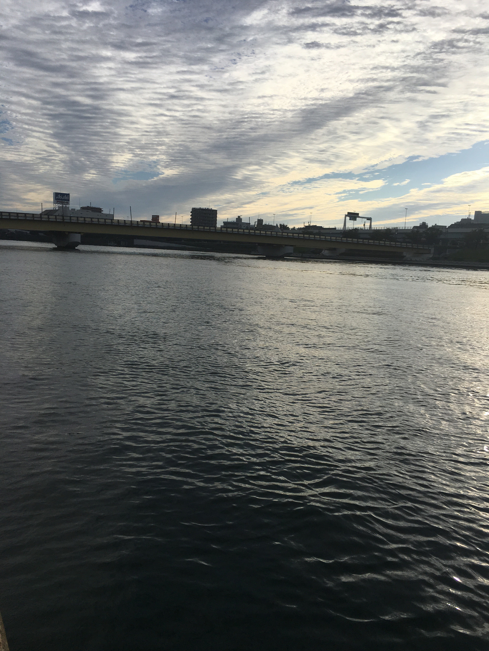 下町観光名所ラン！墨田区〜台東区の写真10