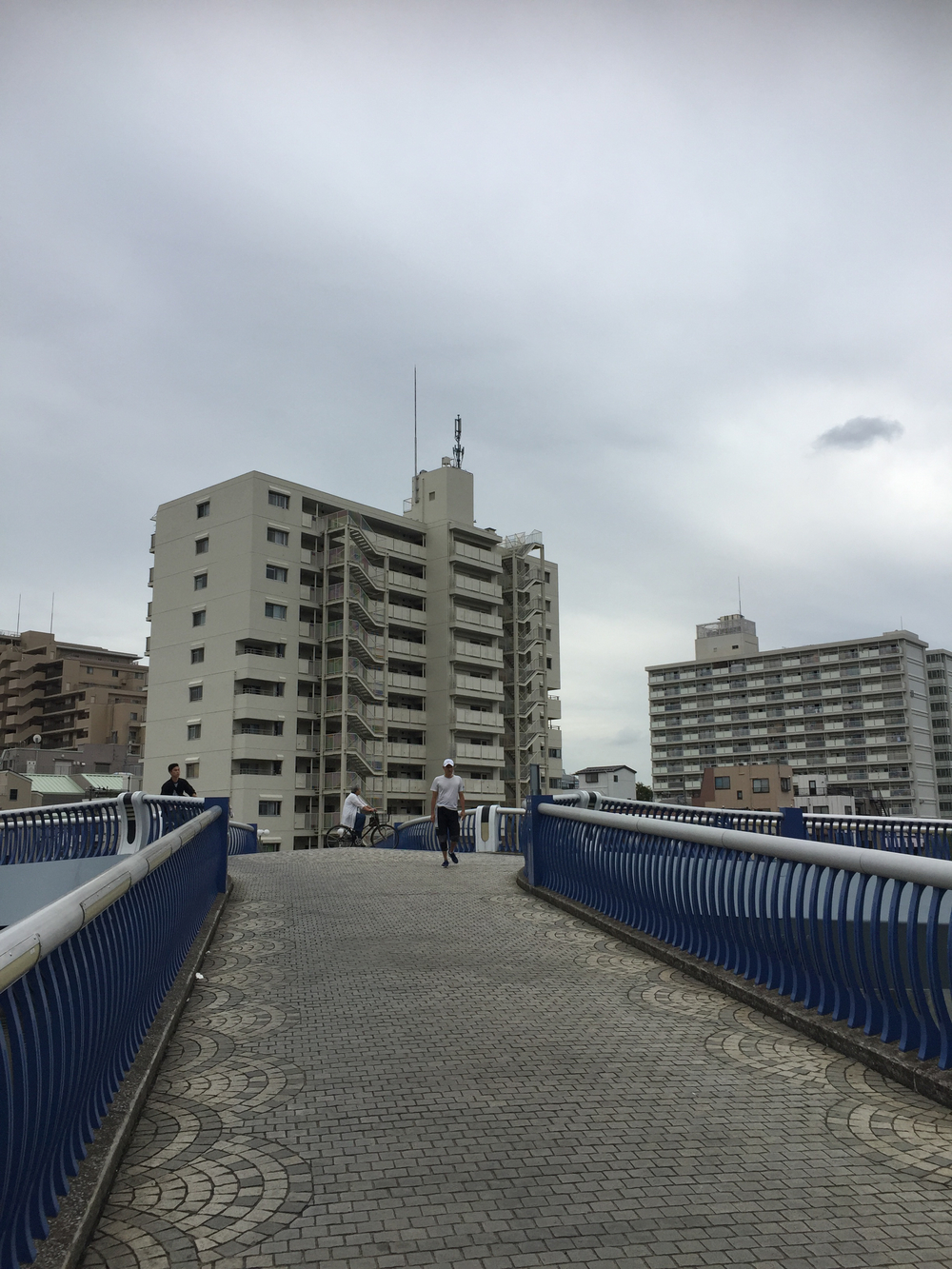 ほぼフラット、皇居が盛り上がります。の写真3