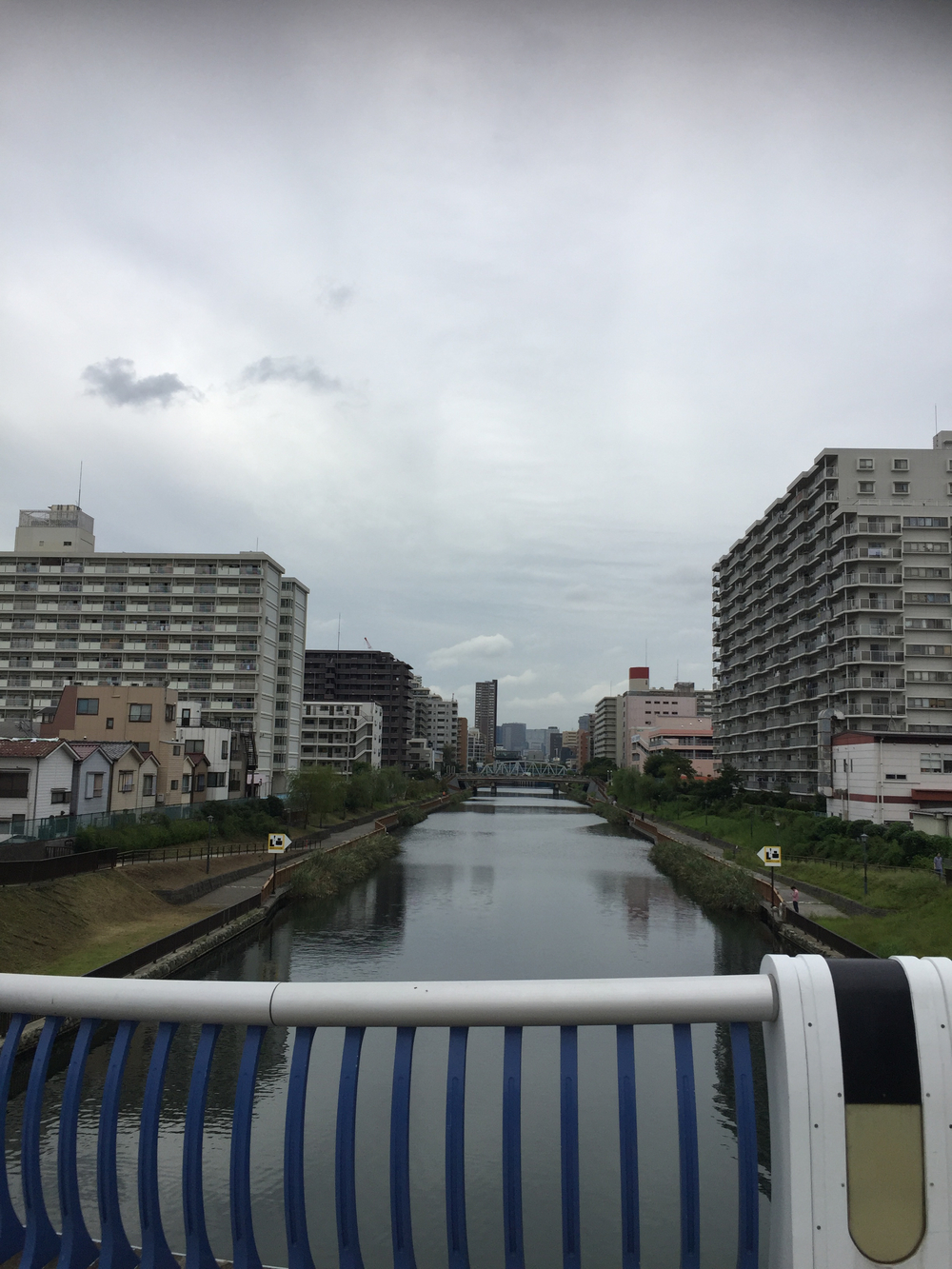 ほぼフラット、皇居が盛り上がります。の写真4