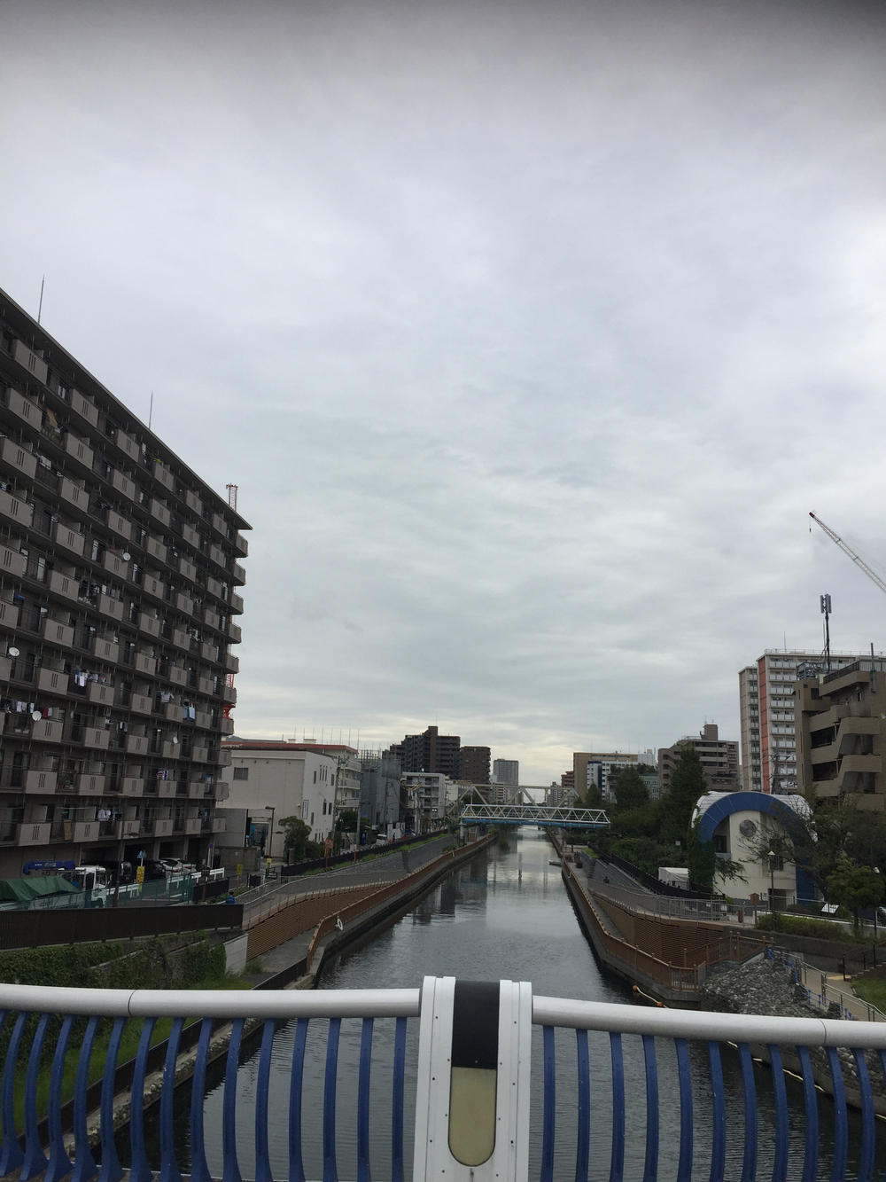 ほぼフラット、皇居が盛り上がります。の写真5