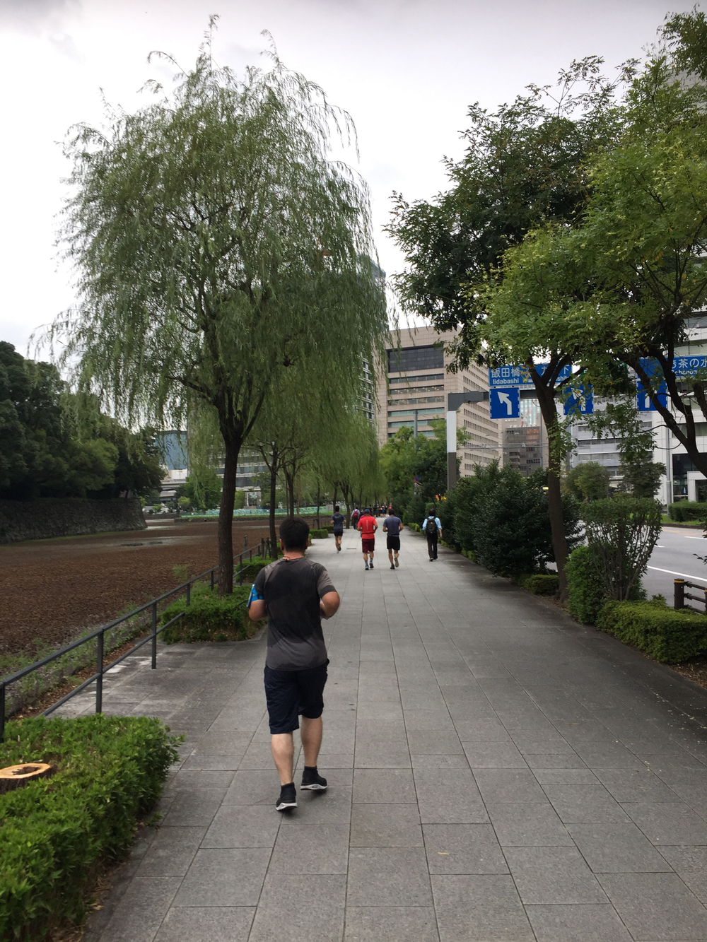 ほぼフラット、皇居が盛り上がります。の写真6