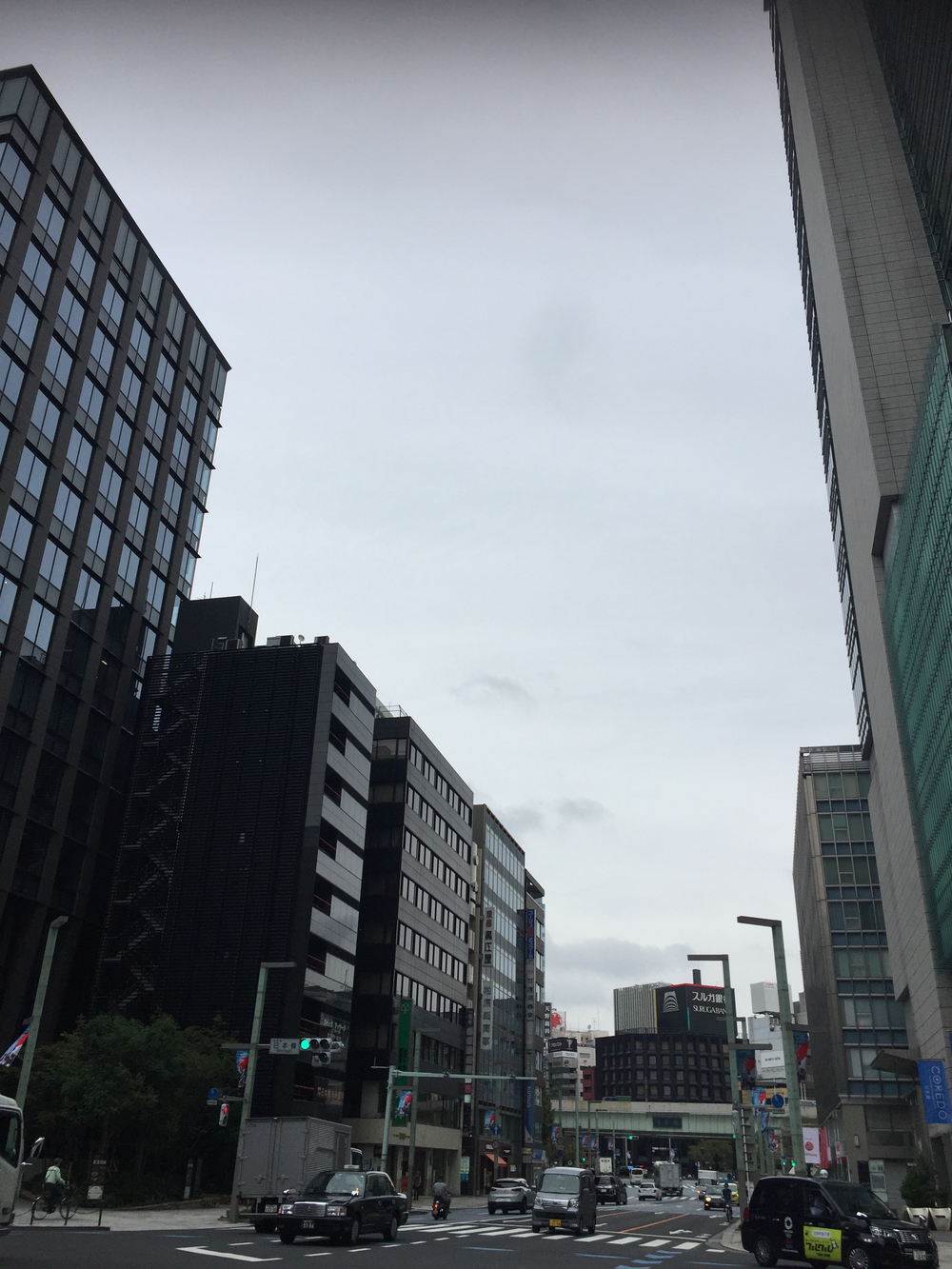 ほぼフラット、皇居が盛り上がります。の写真7