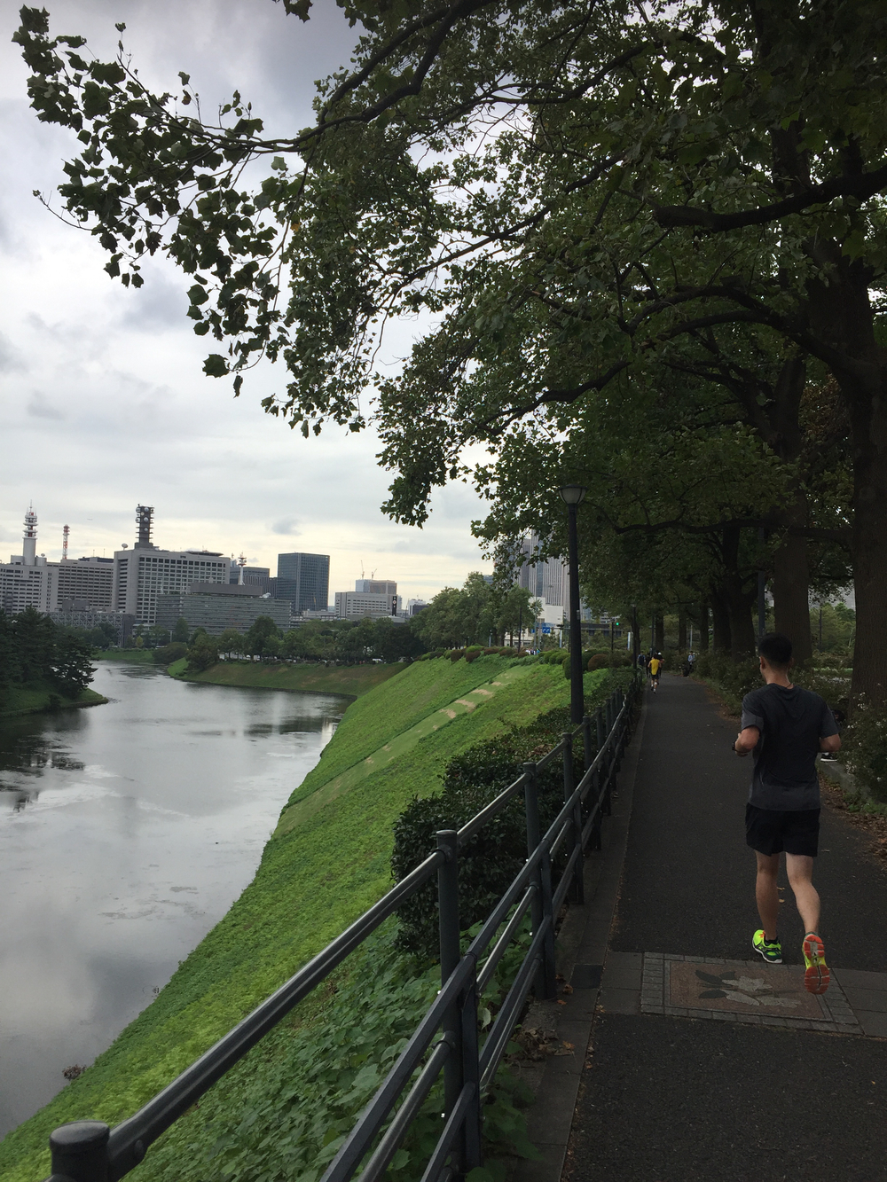 ほぼフラット、皇居が盛り上がります。の写真10