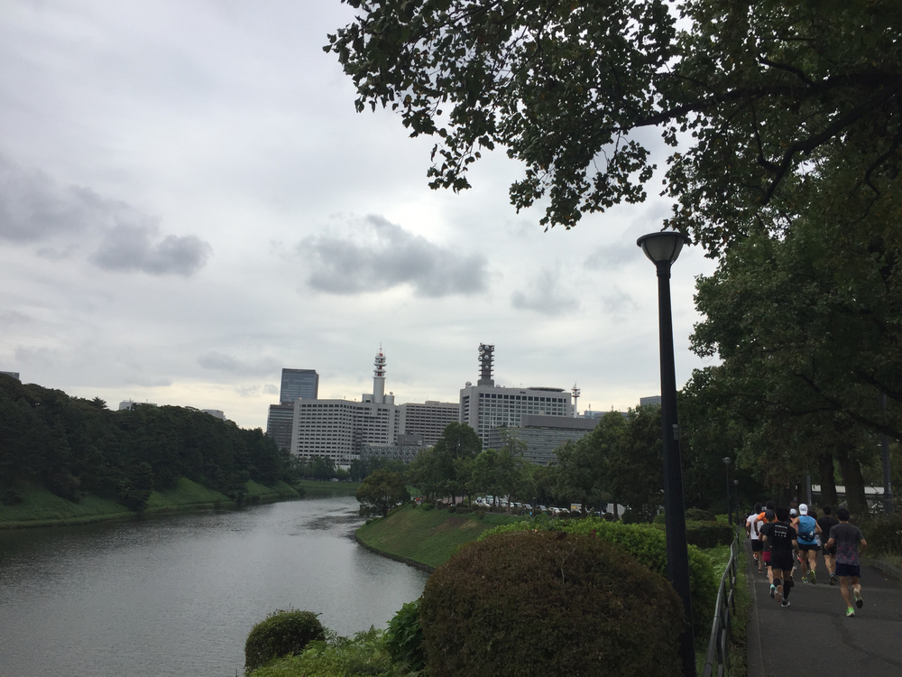 ほぼフラット、皇居が盛り上がります。の写真11