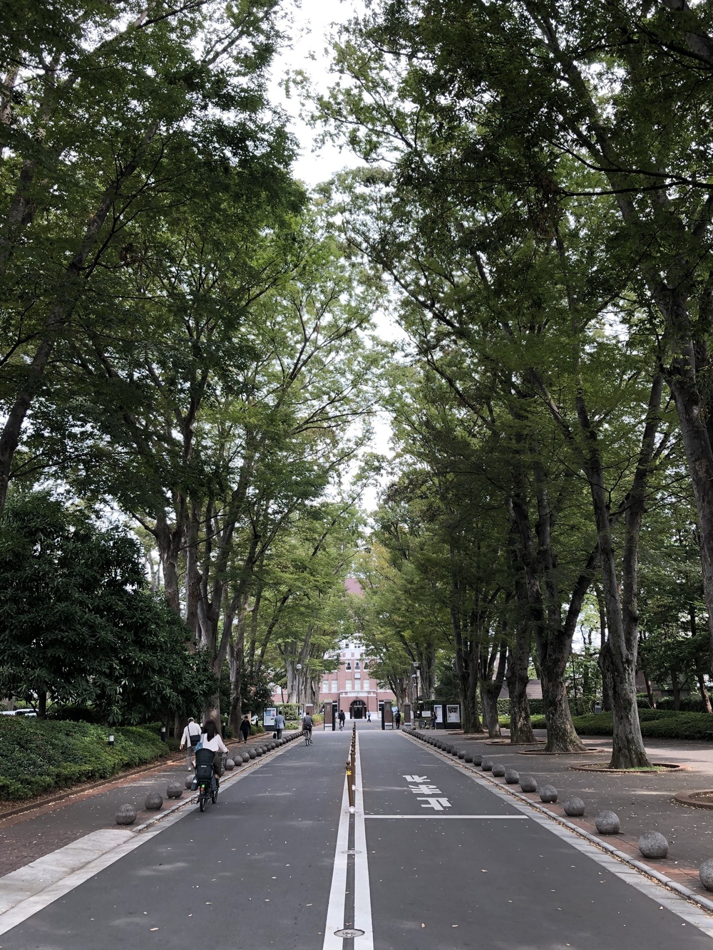 自然と歴史と食のまち・吉祥寺よくばりRuntrip ～まるごと多摩コレクション～の写真4