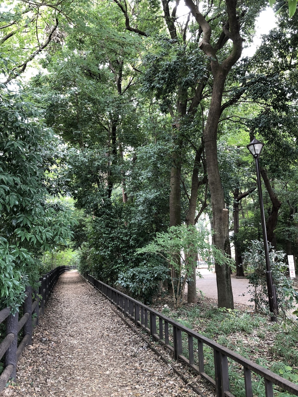 自然と歴史と食のまち・吉祥寺よくばりRuntrip ～まるごと多摩コレクション～の写真6