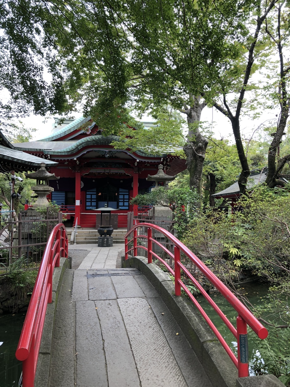 自然と歴史と食のまち・吉祥寺よくばりRuntrip ～まるごと多摩コレクション～の写真8