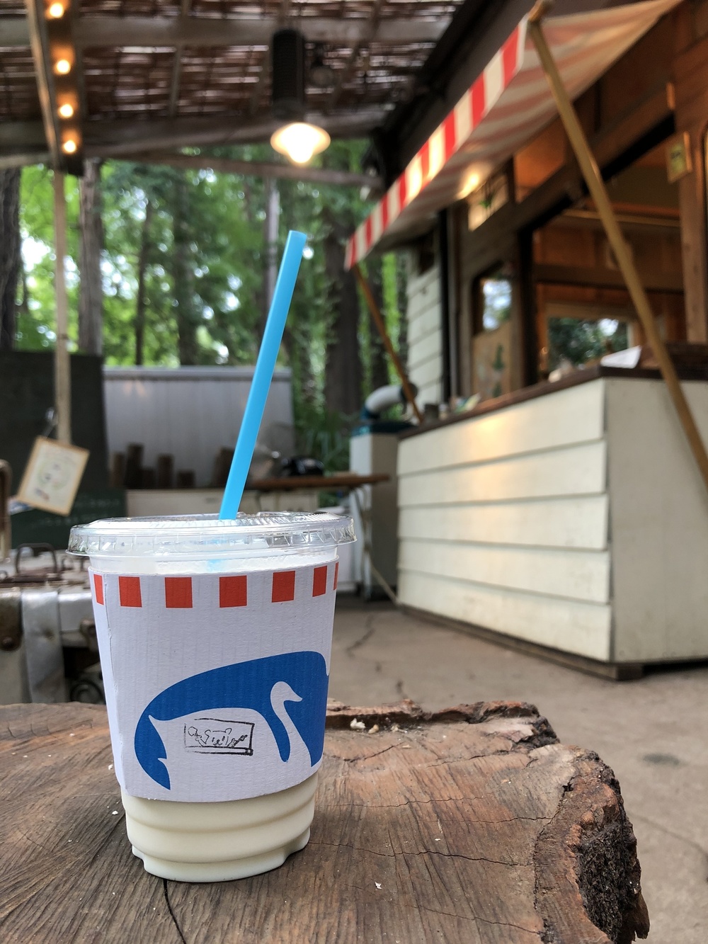 自然と歴史と食のまち・吉祥寺よくばりRuntrip ～まるごと多摩コレクション～の写真9