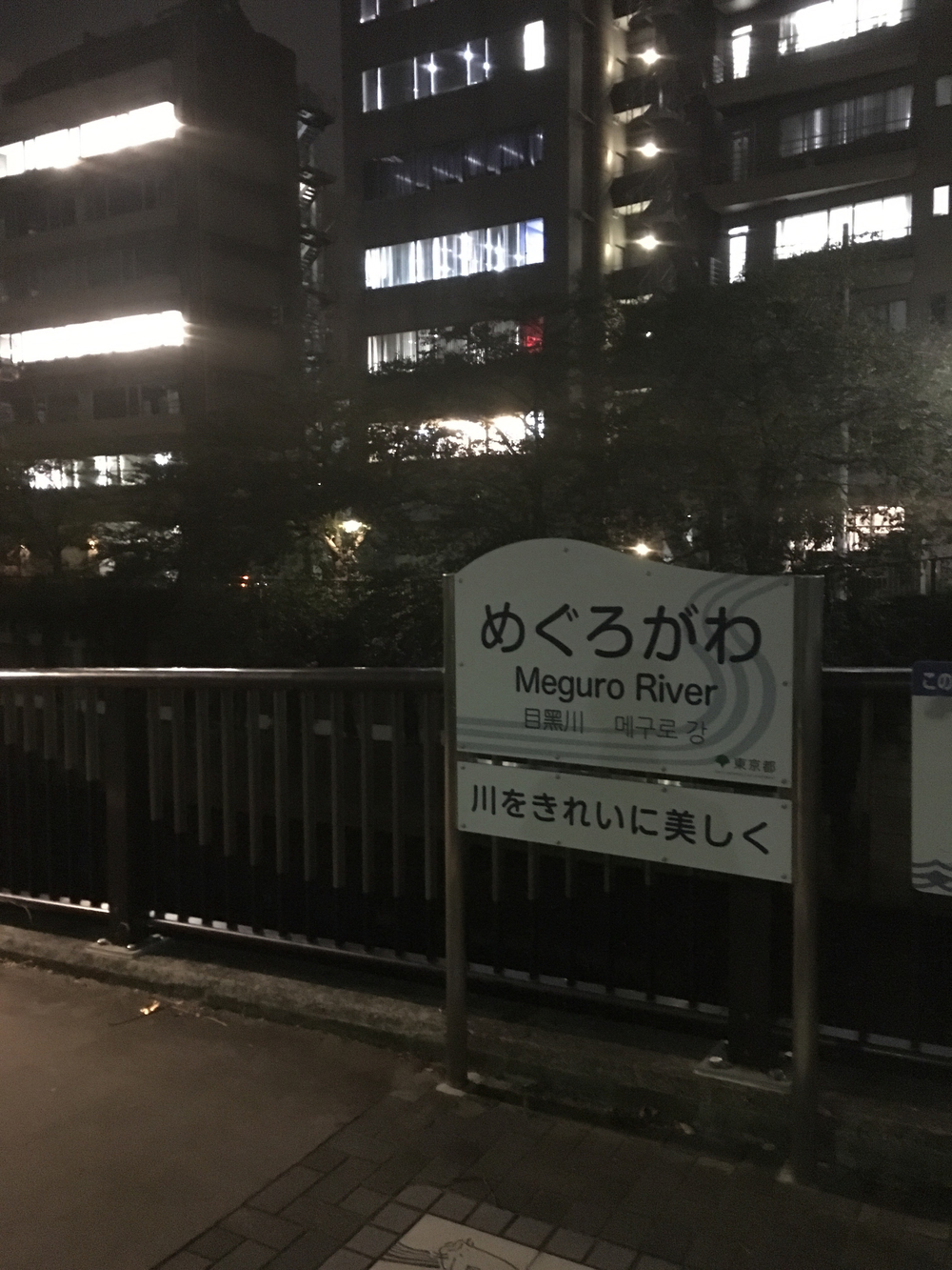 目黒川温泉ラン！ 目黒区の写真8