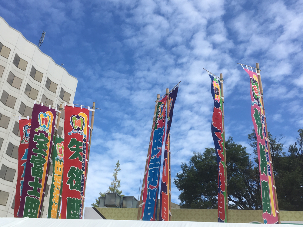 【お江戸】両国・浅草観光20キロRUNの写真6