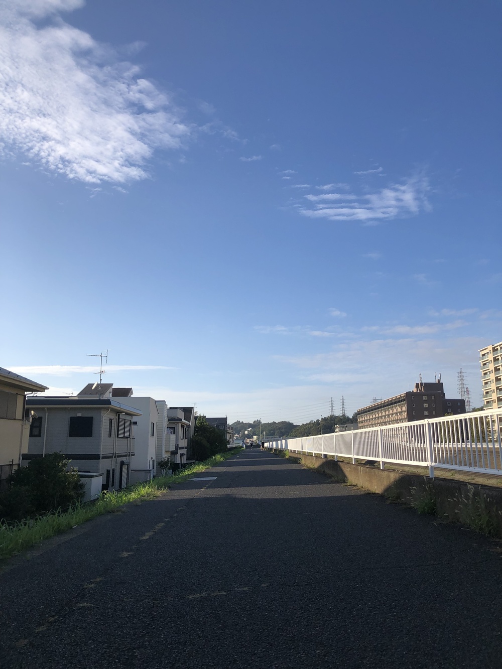 綱島パワースポット巡り&プチトレイル気分のラントリップ の写真6