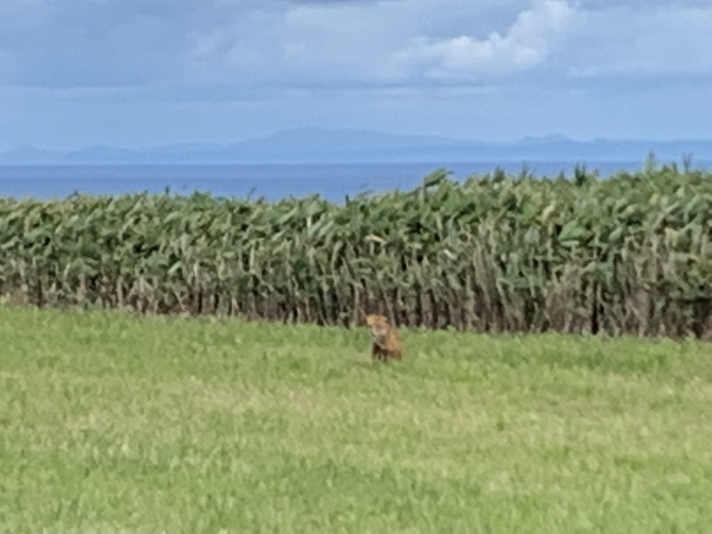 宗谷岬フットパスコース18kmの写真6