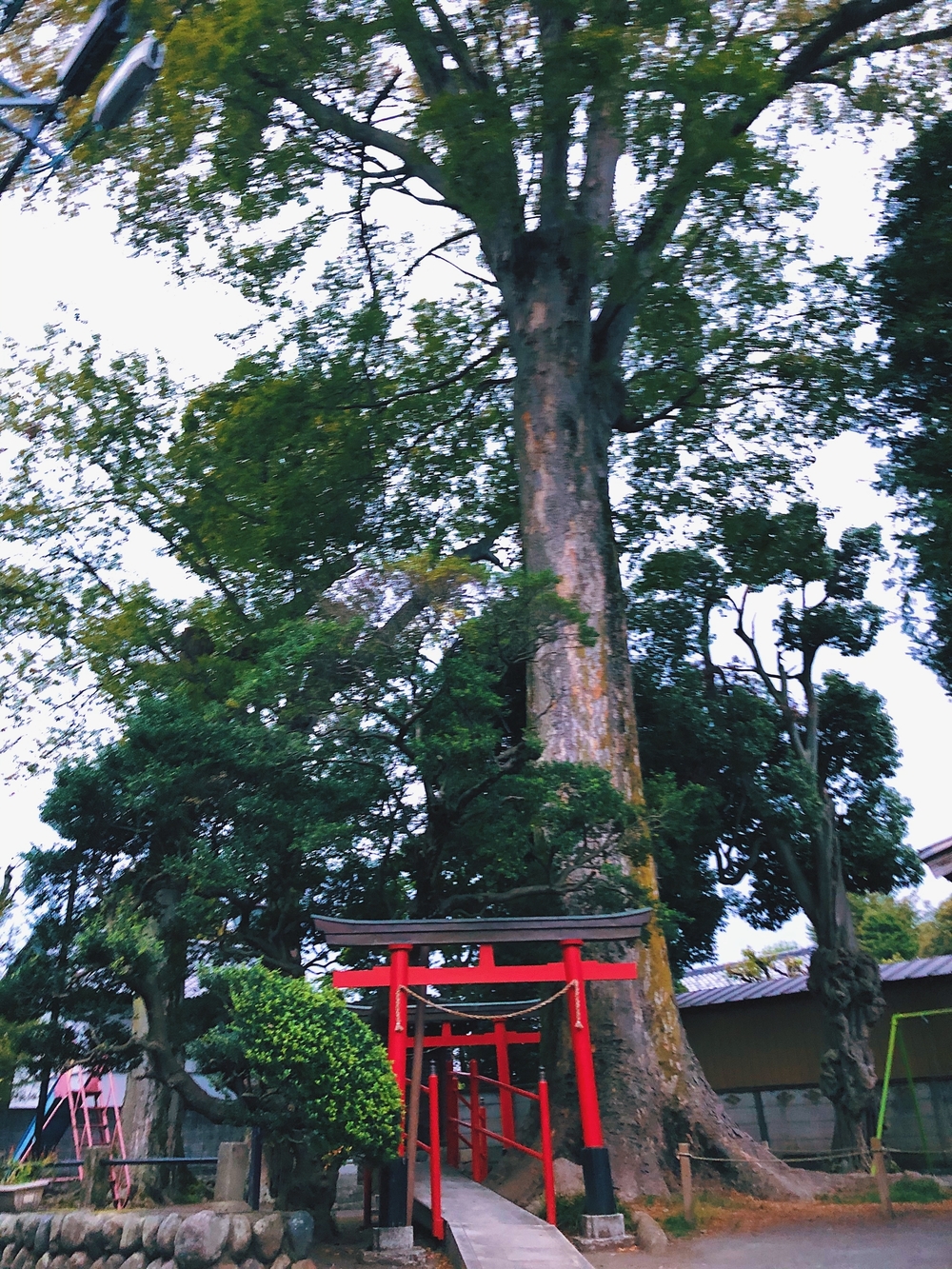 水のまちから酒蔵を訪ねて♪昭島・福生ぐるりRuntrip ～まるごと多摩コレクション～の写真4