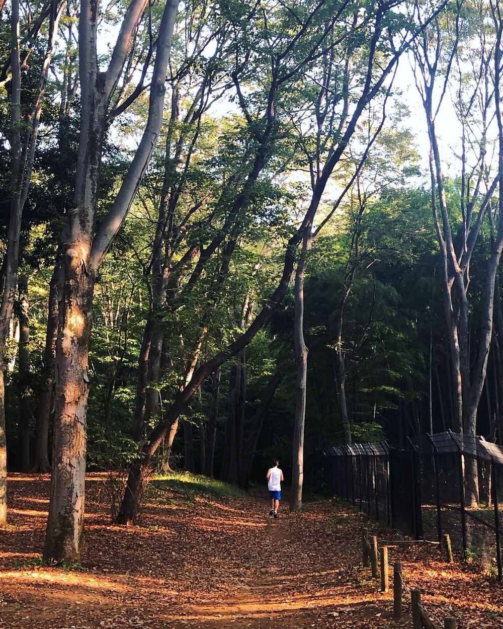 Shibuya Morning Runtrip - a Perfect Guide to Run @Tokyoの写真4