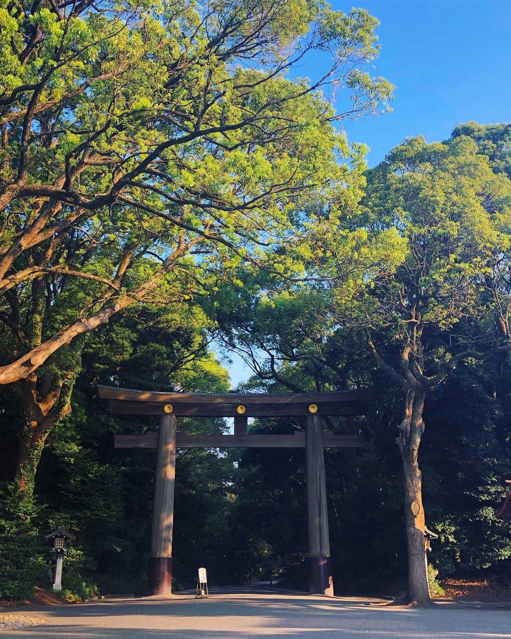 Shibuya Morning Runtrip - a Perfect Guide to Run @Tokyoの写真6