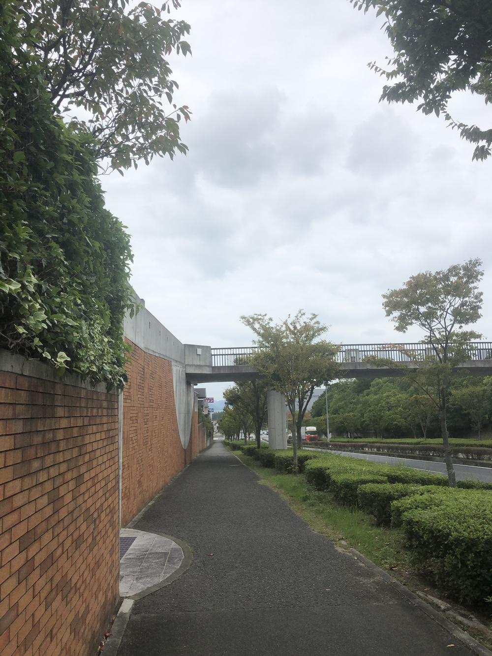 神戸市北区ぽかぽか温泉坂路10kmコースの写真4