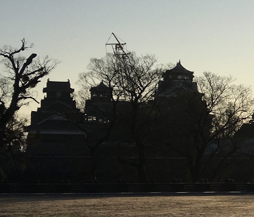 観光客の方が応援してくれる⁈の写真3