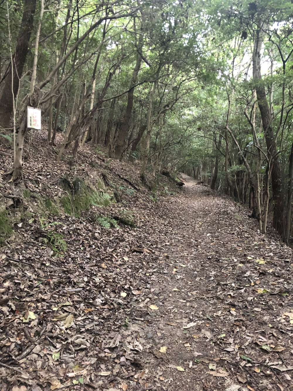 香川高松トレイルランの写真3