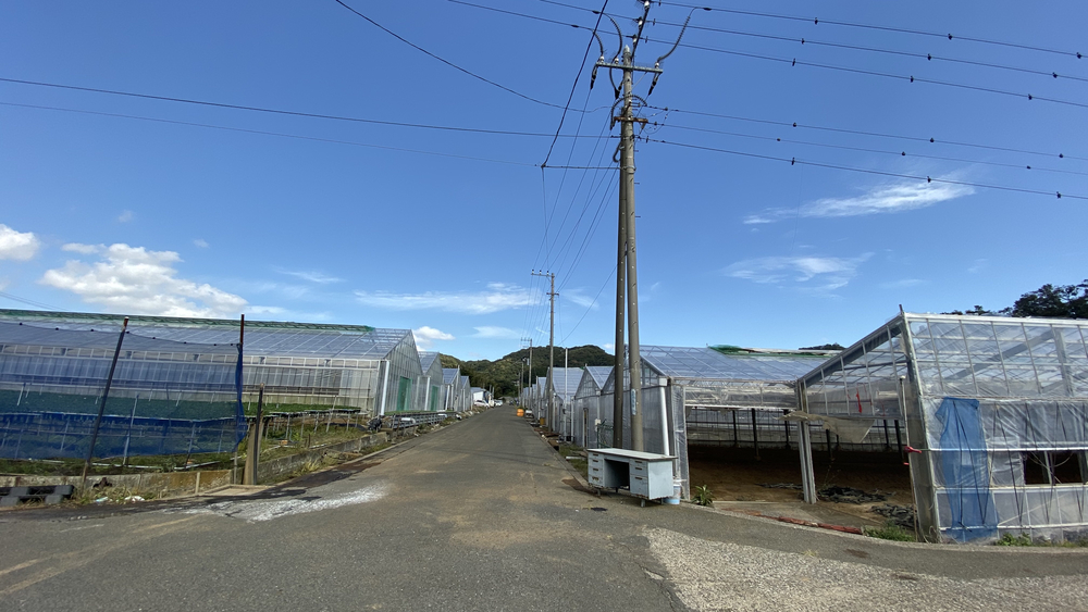 横須賀・三浦のトレイル&シーサイドランの写真8